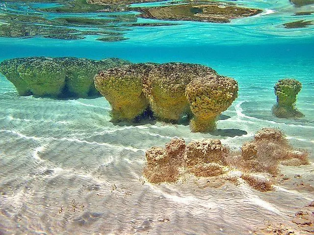 Las Velas Bacalar 2*,