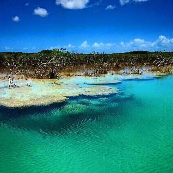 Las Velas Bacalar